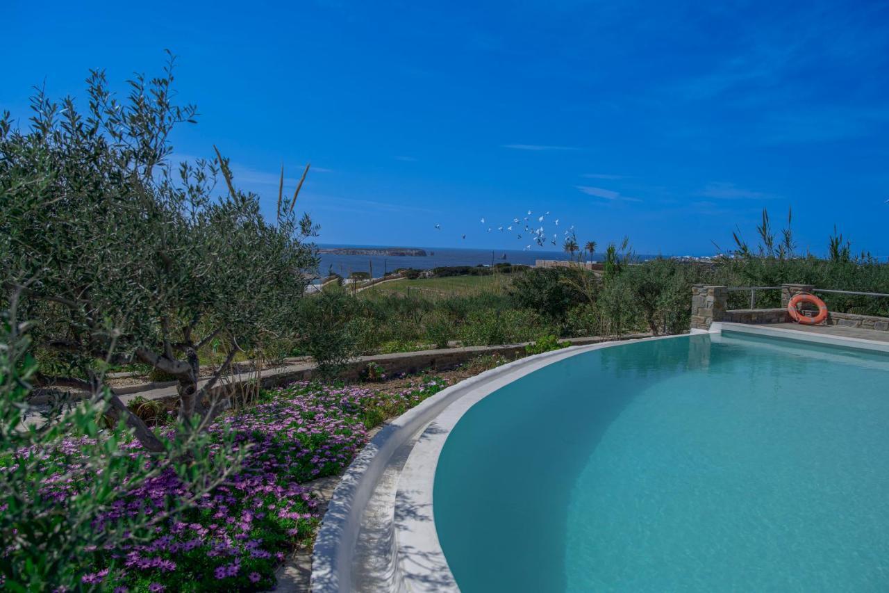 Anthemion Paros - Villas & Suites Αγία Ειρήνη Πάρου Εξωτερικό φωτογραφία